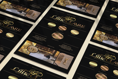 Logo + Brand identity board